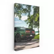 Green Dodge Challenger in Park - Bold American Muscle