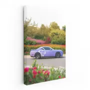 Dodge Challenger in Wild - Bold and Powerful Ride