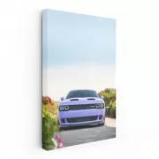 Dodge Challenger in Nature - Bold and Powerful Ride