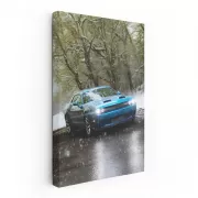 Dodge Challenger Conquers Snow - Muscle Car Majesty