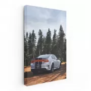 Dodge Charger in Forest - Bold and Powerful Performance