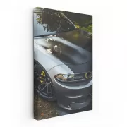 Classic Dodge Charger Parked in Garden - Timeless Muscle