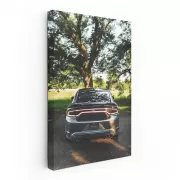 Dodge Charger Parked in Garden - Bold Muscle Car