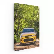 Yellow Dodge Hornet in Nature - Rugged Adventure Ready