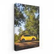 Yellow Dodge Hornet in Nature - Compact Powerhouse