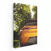 Yellow Dodge Hornet in Nature - Dynamic and Bold