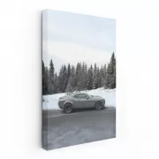 Dodge SRT Winter - Power and Performance Unleashed