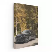 Dodge in Autumn - Sleek and Stylish Drive