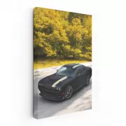 Autumn Drive Dodge - Capture 2 - Elegance in Motion