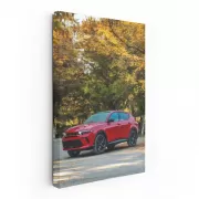 Autumn Forest Dodge - Thrill of Wild Ride