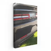 Black Dodge in Nature - Bold and Powerful Adventure