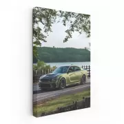 Green Dodge in Park - Classic Elegance on Wheels