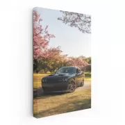 Evade in Flourishing Garden - Blossoming Adventure