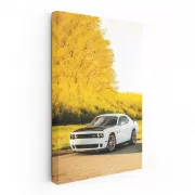 Dodge in Fall Weather - Powerful Drive Awaits