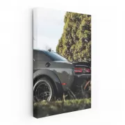 Evading Nature's Elements - Dodge 1 NTZK: Rugged Resilience