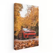 Autumn Forest Dodge - Adventure Awaits in Every Turn