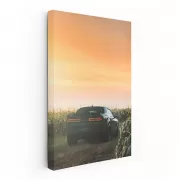 Dodge Sprint in Field - Rugged Adventure Awaits