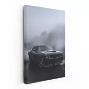 Dodge in Rainy Fog - Classic Elegance on Misty Day