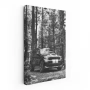 Dodge in Black & White Forest - Rugged Elegance