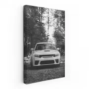 Maneuver Through Forest - Classic Dodge Adventure