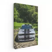 Summer Dodge Park Thrills - Classic Car Adventure