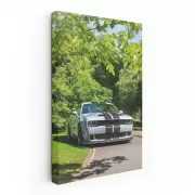 Summer Park Dodge - Classic Ride Adventure