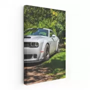 Summer Park Dodge - Dynamic Drive Experience