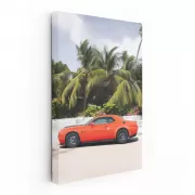 Beachside Dodge Adventure - Classic Elegance in Motion