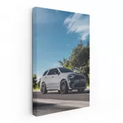 Dodge on Move - Timeless Elegance in Motion