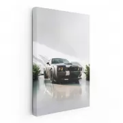 Dodge Parked - Classic Style and Power