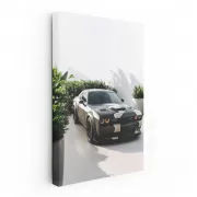 Dodge Stationary - Performance and Elegance in Motion