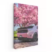 Pink Dodge Amid Sakura Blossoms - Elegant and Bold