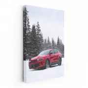 Dodge Snow - Rugged Adventure on Wheels