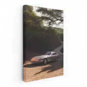 Ferrari 365 GTB 4 in Nature - Iconic Elegance and Power