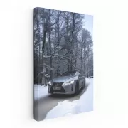 Grey Lexus LC 500h in Winter - Stylish and Sophisticated