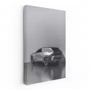 Lexus Electric SUV Parking - Sleek and Innovative Design