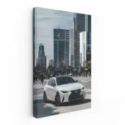White Lexus IS 300 F SPORT in Urban Jungle - Sleek Power