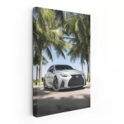 Lexus IS 500 beneath palm trees - sleek luxury performance