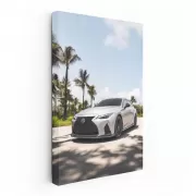Lexus IS 500: Elegance and Power Beneath Palm Trees