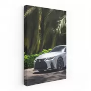 Lexus IS 500 Beneath Palm Trees - Power and Elegance