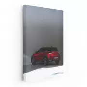 Lexus LBX in Parking - Sleek Urban Elegance