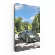 Lexus LC 500 Inspiration Series - Nature's Elegance in Motion