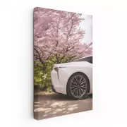 Lexus LC 500h Sakura Edition - Elegance in Motion