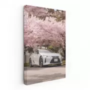 Lexus LC 500h Sakura - Elegance in Motion