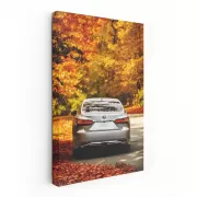 Lexus LS 500h in Autumn Forest - Elegance in Motion