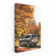 Lexus LS 500h in Autumn Woods - Luxury Meets Elegance