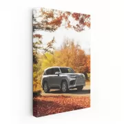 Lexus LS 500h in Autumn Woods - Elegance Meets Performance