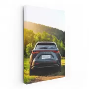 Lexus NX in Nature - Adventure-Ready Elegance