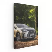 Lexus NX in Woods - Adventure Awaits