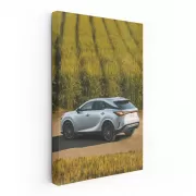 Lexus RX Hybrid AWD Luxury - Versatile Elegance in Motion